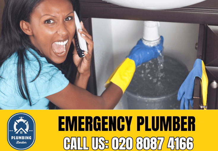 emergency plumber Chislehurst