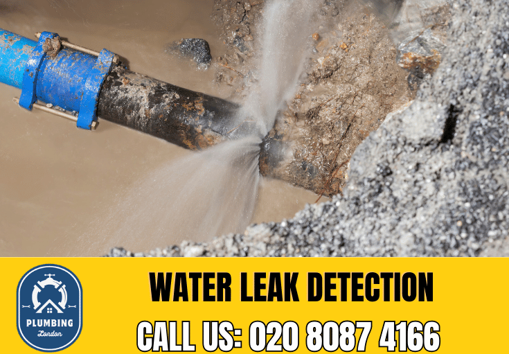 leak detection Chislehurst